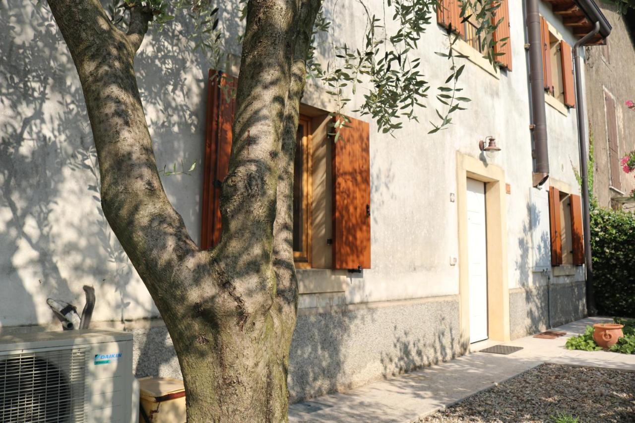 Casa Jasmin, 2 Floors, Private Garden Lejlighed Verona Eksteriør billede
